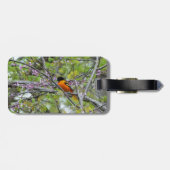 Baltimore Oriole Bagagelabel (Achterkant horizontaal)