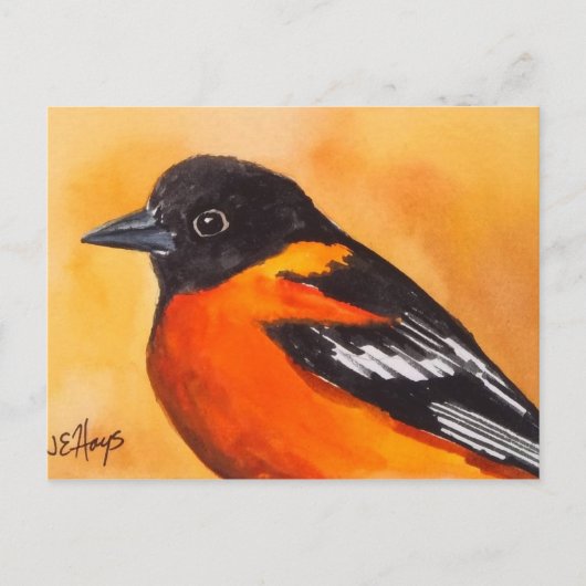 Baltimore Oriole Bird Briefkaart (Voorkant)