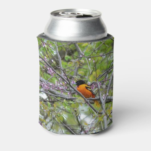 Baltimore Oriole Blikjeskoeler (Blikje Achterkant)