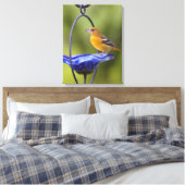Baltimore Oriole Canvas Afdruk (Insitu (Slaapkamer))