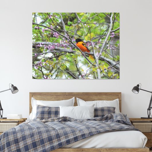 Baltimore Oriole Canvas Afdruk (Insitu (Slaapkamer))