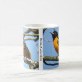 Baltimore Oriole Coffee Mug by BirdingCollectibles (Centre)