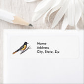 Baltimore Oriole Etiket (Insitu)