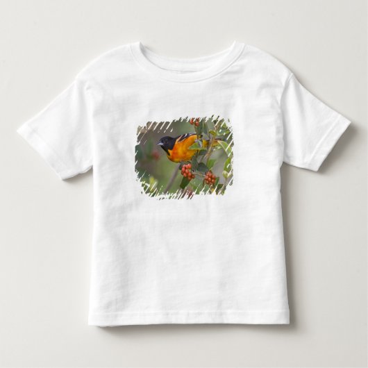 Baltimore Oriole Kinder Shirts (Voorkant)