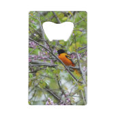 Baltimore Oriole Kredietkaart Flessenopener (Voorkant)
