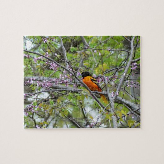 Baltimore Oriole Legpuzzel (Horizontaal)