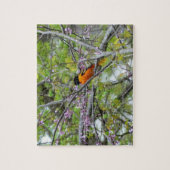 Baltimore Oriole Legpuzzel (Verticaal)