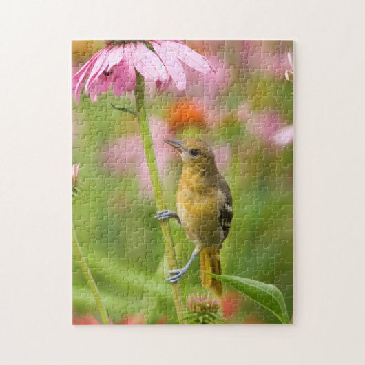 Baltimore Oriole Legpuzzel (Verticaal)