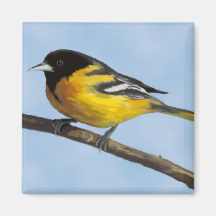Baltimore Oriole Magnet Magneet