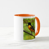 Baltimore Oriole Mok - 11 oz. (Voorkant rechts)