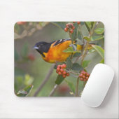 Baltimore Oriole Muismat (Met muis)