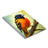 Baltimore Oriole Notebook | Rainy Bird Art Journal (Côté Droit)