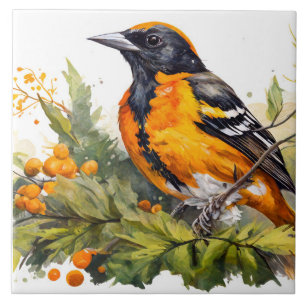 Baltimore Oriole op een tak van bessen Tegeltje