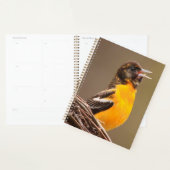 Baltimore Oriole Planner (Display)