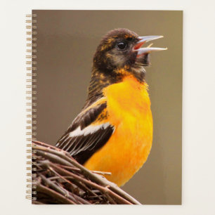 Baltimore Oriole Planner