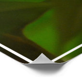 Baltimore Oriole Poster (Hoek)