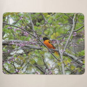 Baltimore Oriole Sherpa Deken