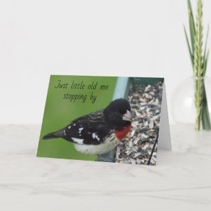 Baltimore Oriole stopt met zeggen *HAPPY BIRTHDAY* Kaart