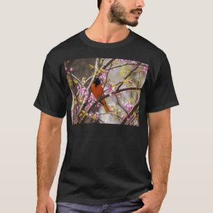Baltimore Oriole T-shirt