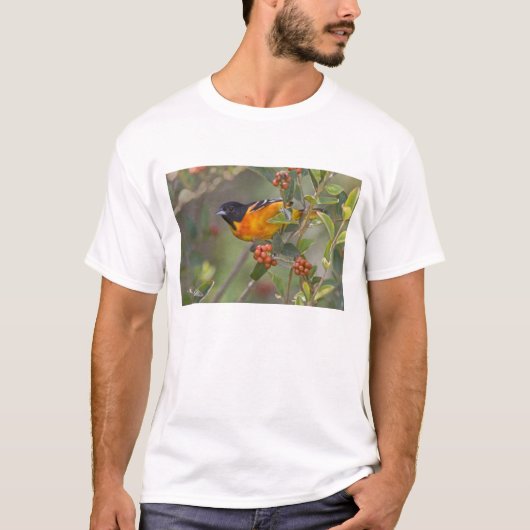 Baltimore Oriole T-shirt (Voorkant)
