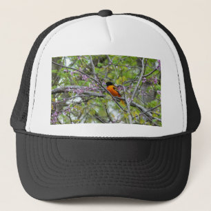 Baltimore Oriole Trucker Pet