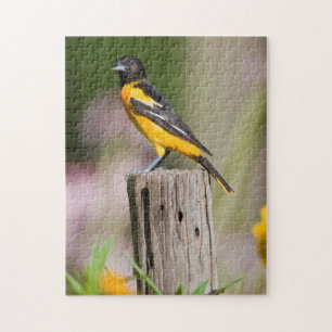 Baltimore Oriole vrouw in bloemtuin Legpuzzel