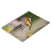 Baltimore Oriole vrouw in bloemtuin Notitieboek (Linkerzijde)