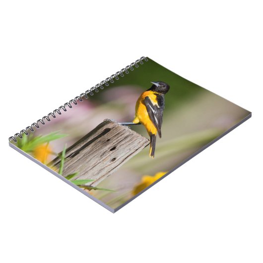 Baltimore Oriole vrouw in bloemtuin Notitieboek (Linkerzijde)