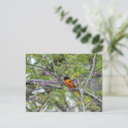 Baltimore Oriole Wenskaart Briefkaart (Staand voorkant)