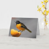 Baltimore Oriole Wenskaart Kaart (Gele Bloem)