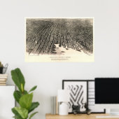 Baltimore (Spofford) - MEDIUM KWALITEIT, zie noot Poster (Thuiskantoor)