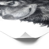 Balto Dog Foto Afdruk (Hoek)