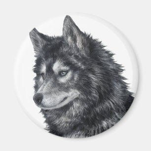 Balto Dog Magneet