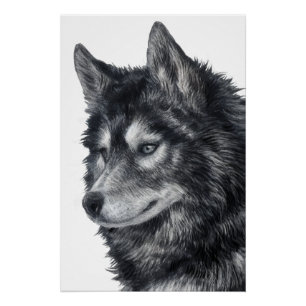 Balto Dog Perfect Poster