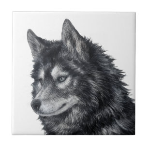 Balto Dog Tegeltje