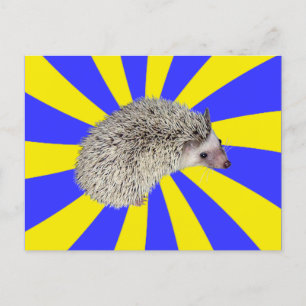BAM ! Carte postale 2