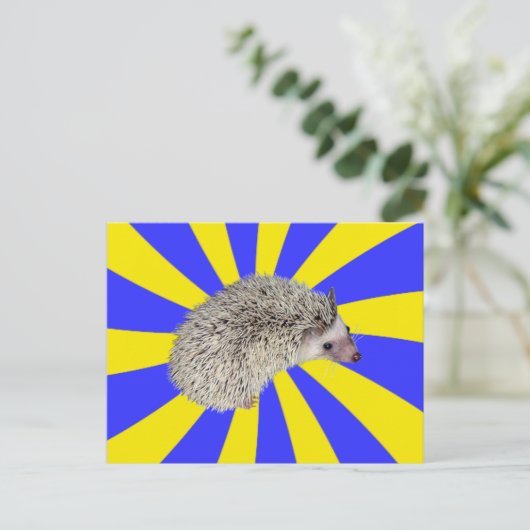 BAM ! Carte postale 2 (Debout devant)