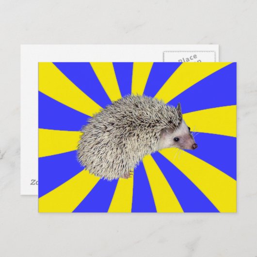 BAM ! Carte postale 2 (Devant / Derrière)