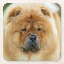 Bamba Chow onderzetter