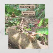 Bambiraptor - Dinosaur - Leerkaart Briefkaart (Voorkant / Achterkant)