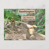 Bambiraptor - Dinosaur - Leerkaart Briefkaart (Achterkant)