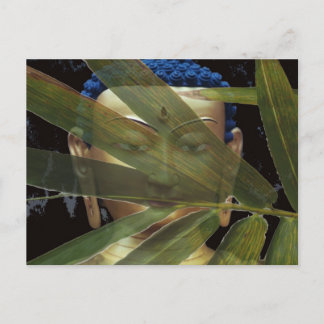 Bamboe Boedha Briefkaart