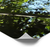 Bamboe Botanische Natuur Poster (Hoek)