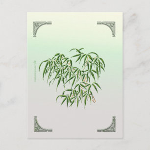 Bamboe Briefkaart