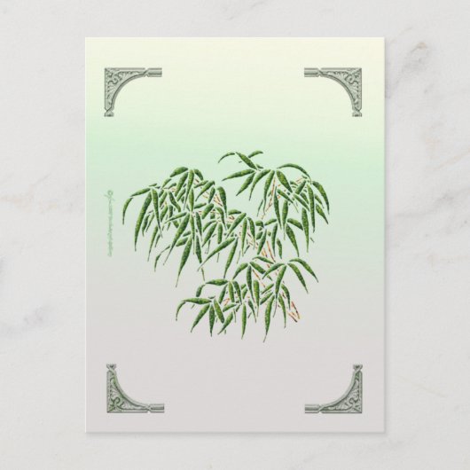 Bamboe Briefkaart (Voorkant)