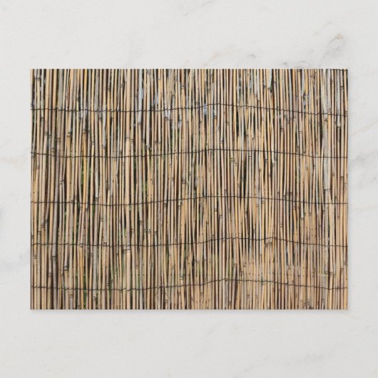 Bamboe Briefkaart (Voorkant)