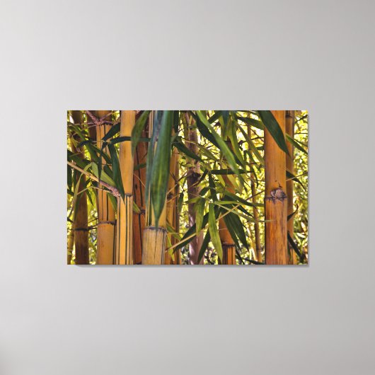 Bamboe Canvas Afdruk (Voorkant)
