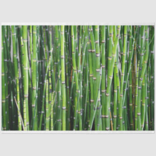 Bamboe Decoupage 24 Background Tissue Paper Tissuepapier