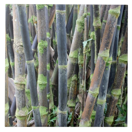 Bamboe Design Wall Tile Tegeltje (Voorkant)