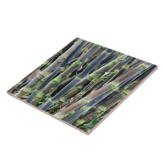 Bamboe Design Wall Tile Tegeltje (Zijkant)